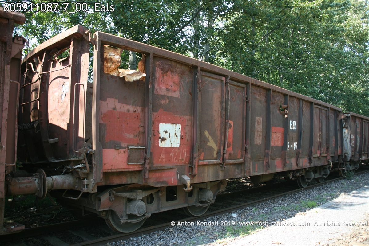 805911087-7_00_Eals.JPG
